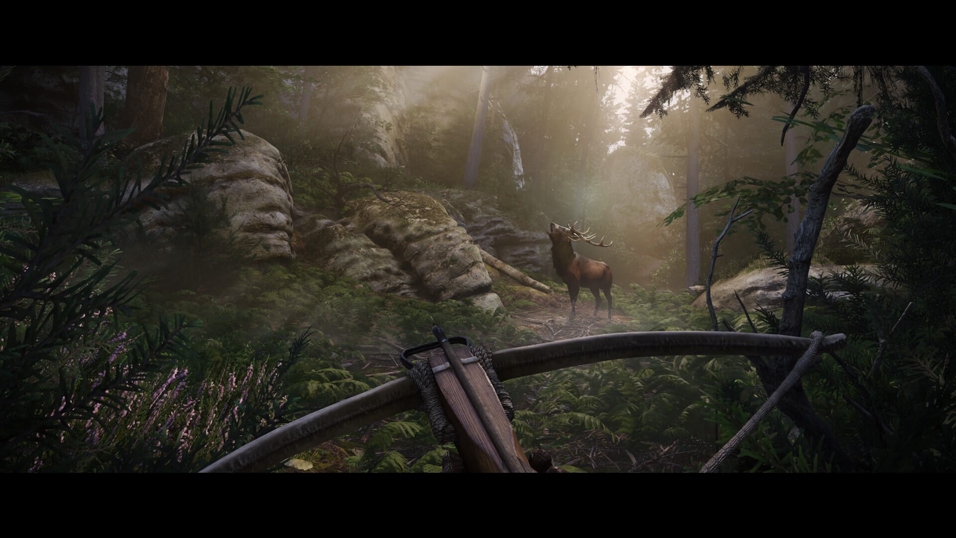 Kingdom Come Deliverance II Scaricare