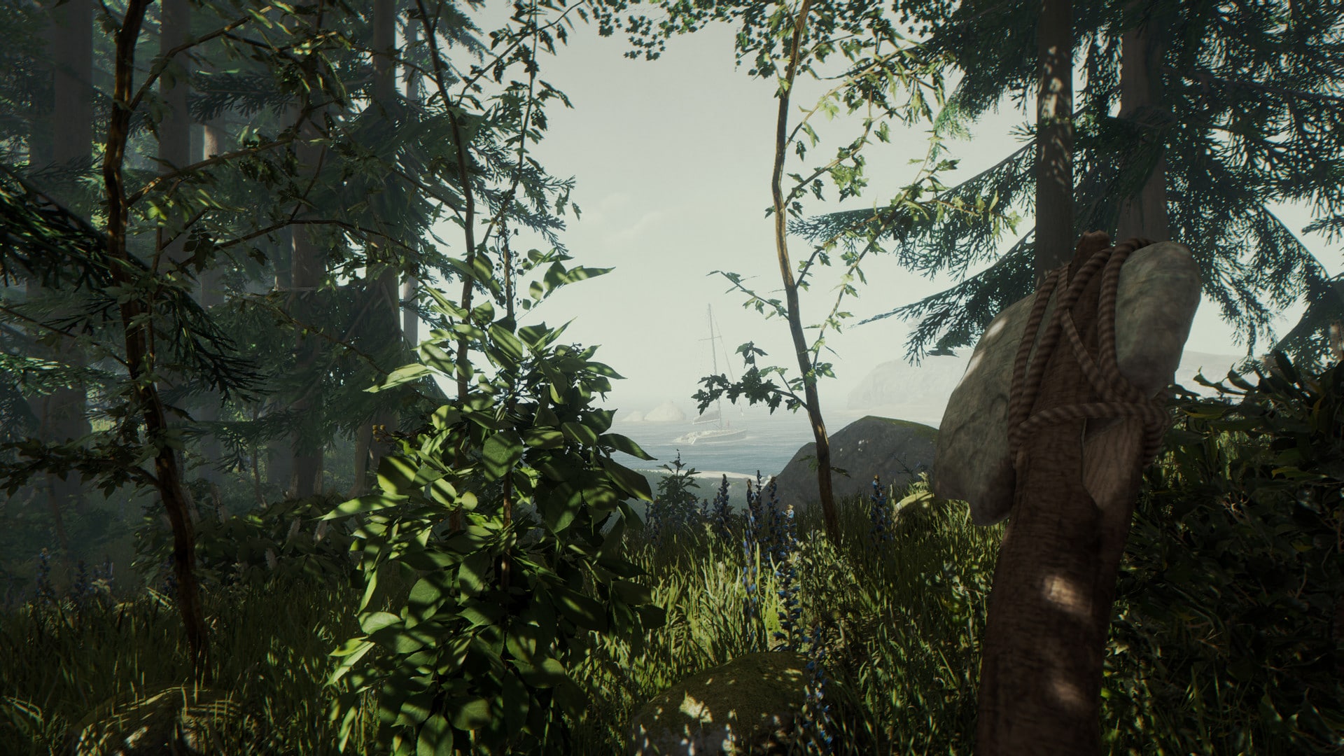 The Forest su PC