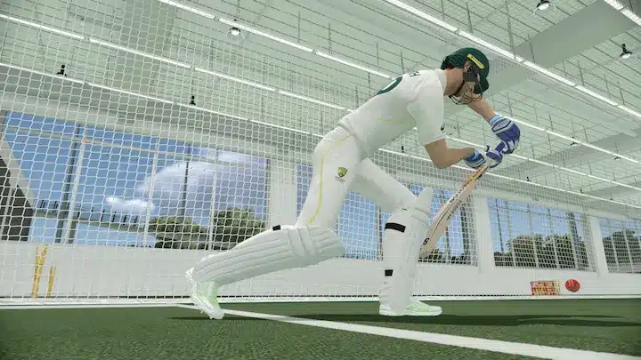 Cricket 22 per PC