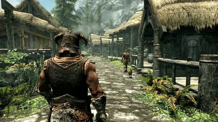 The Elder Scrolls V Skyrim per PC